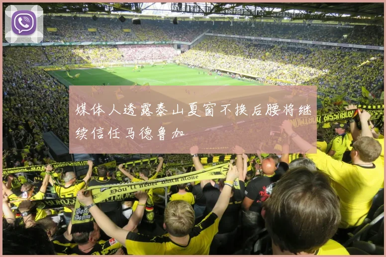 媒体人透露泰山夏窗不换后腰将继续信任马德鲁加